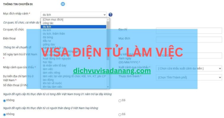 Visa điện tử làm việc